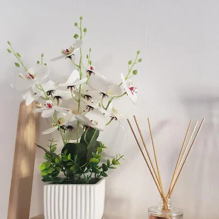 Apartment Universe House *