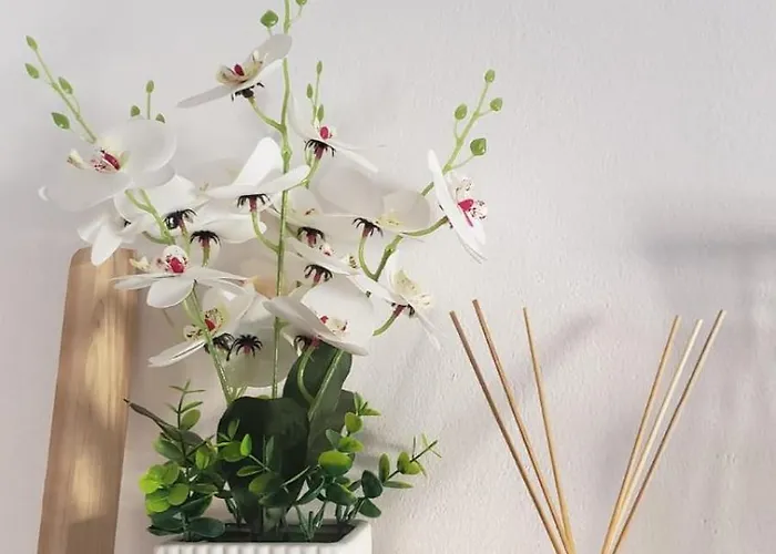 Appartamento Universe House *